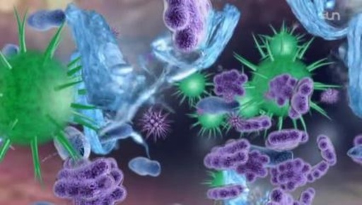 Web-Formation: 116.1: Les mille et une avenues du microbiote et l'approche FODMAP: pour qui et comment ?